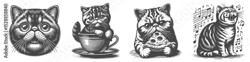 Vintage Hand-Drawn Exotic Shorthair Cat with Coffee and Pizza Illustration, Cute Pet Engraved Style Vector for T-Shirts and Foodie Themes Design