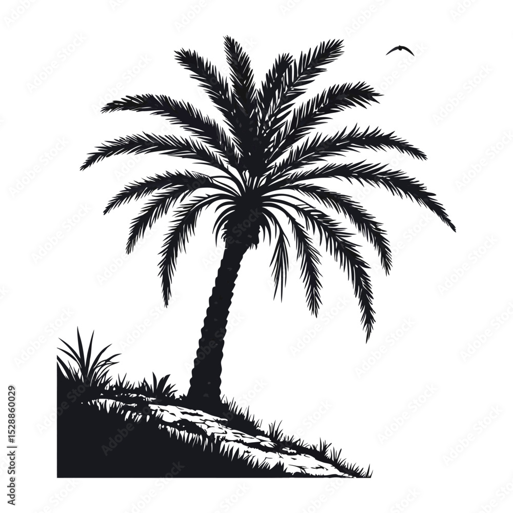 Obraz premium silhouette palm tree on white background