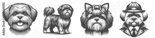 Vintage Hand-Drawn Shih Tzu Dog Collection Illustration, Character Animal Engraved Style Vector for T-Shirts and Costume Detective Themes Design