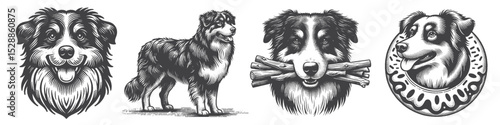 Vintage Hand-Drawn Australian Shepherd Dog with Wood and Donuts Collection Illustration, Rustic Pet Engraved Style Vector for T-Shirts and Outdoor Snack Themes Design