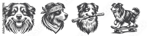 Vintage Hand-Drawn Dog Australian Shepherd Collection Illustration, Pets Animal Engraved Style Vector for T-Shirts and Casual Themes Design