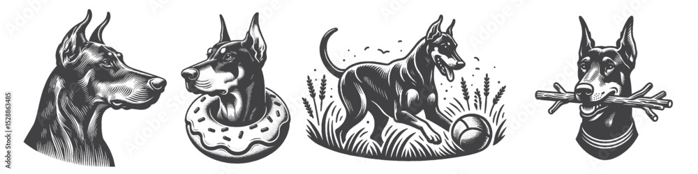 Obraz premium Vintage Hand-Drawn Dog Doberman Collection Illustration, Pets Animal Engraved Style Vector for T-Shirts and Playful Themes Design