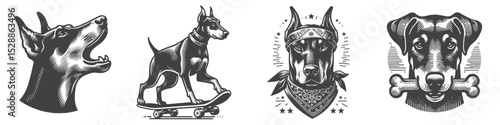 Vintage Hand-Drawn Dog Doberman Collection Illustration, Pets Animal Engraved Style Vector for T-Shirts and Skateboard and Bone Themes Design