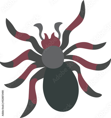 Fake spider illustration