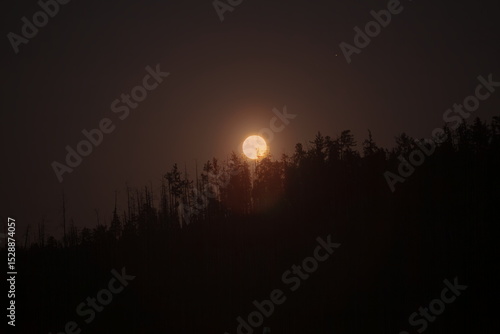 Strawberry moon over the forest