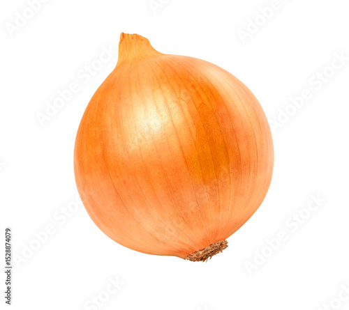 onion isolated on white background