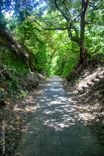 A road stretching into the distance.
