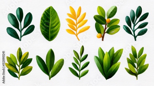 Watercolor Green Leaves Collection  Botanical Illustrations for Wedding  Cards  Design