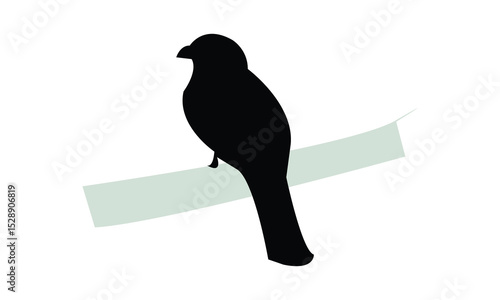 Amazonian black-throated trogon bird Silhouette Design  And Vector Illustration. 