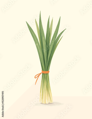 Fresh Lemongrass Bundle for Culinary Delights
