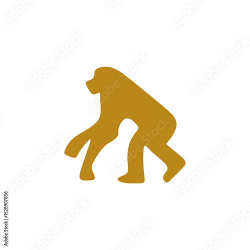Hand drawn human evolution illustration 