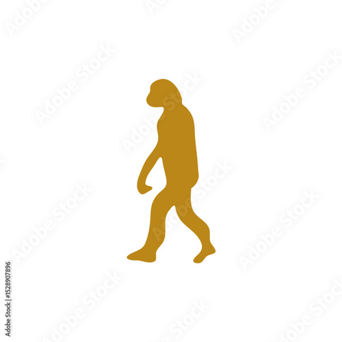 Hand drawn human evolution illustration 
