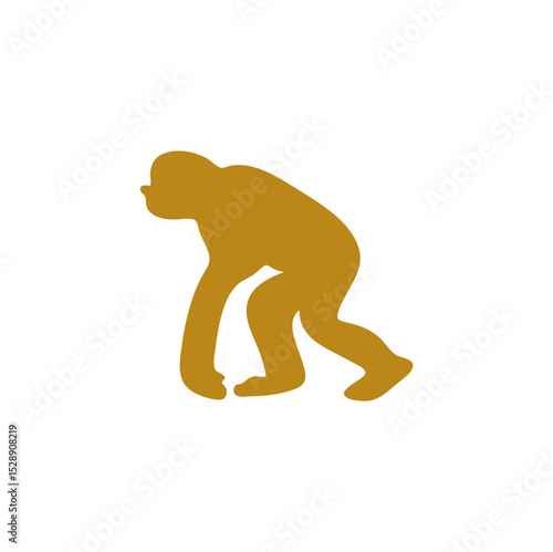 Hand drawn human evolution illustration 