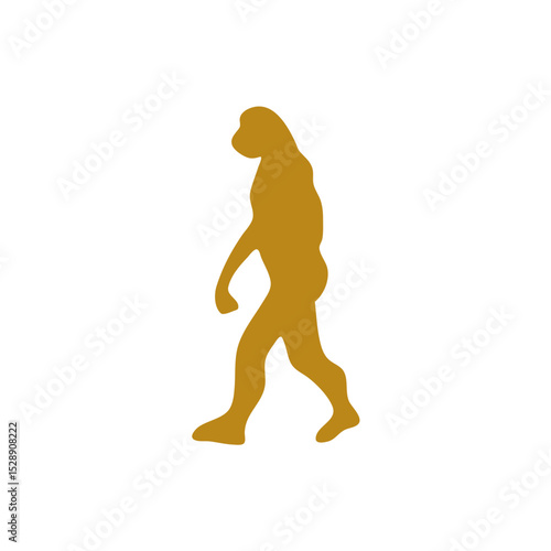 Hand drawn human evolution illustration 