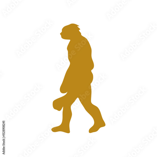 Hand drawn human evolution illustration 