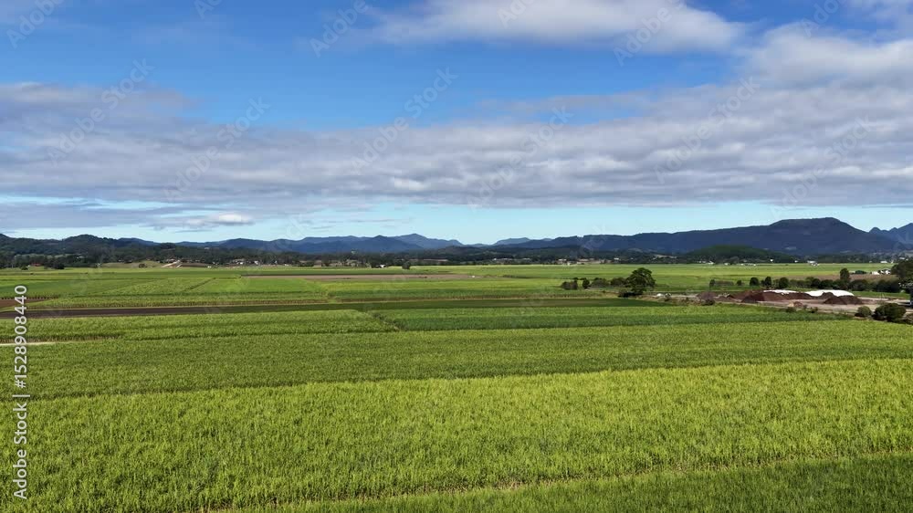 Aerial View of Lush Sugarcane Fields in Murwillumbah Aerial View of Lush Sugarcane Fields in Murwillumbah