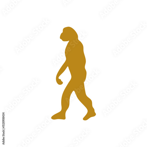 Hand drawn human evolution illustration 