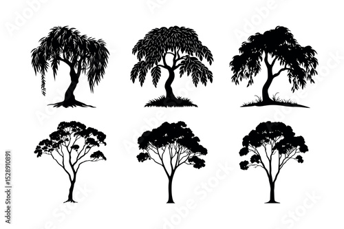 Six black silhouettes of weeping willow and eucalyptus trees