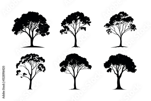 Six black silhouette tree vector illustrations