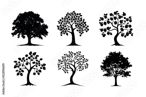 Six black silhouettes of various trees and fruit trees