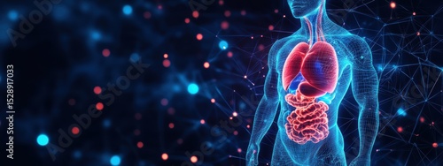 Human Anatomy Glowing Internal Organs 3D Medical Illustration