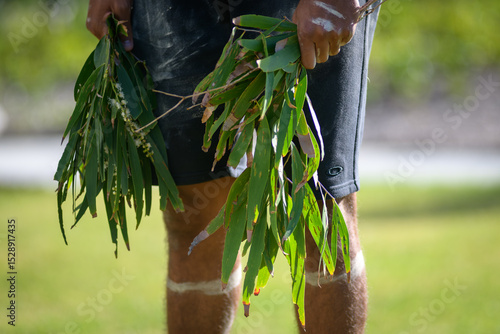 Принти на полотні An indigenous dancer holding gum leaves while performing traditional dance - hor