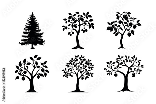 Silhouette collection of trees conifer and fruit trees