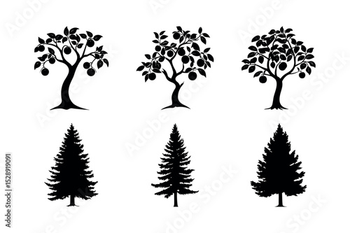 Silhouette collection of fruit trees and coniferous trees