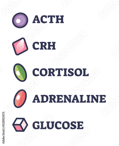 Illustration of stress response chemicals: ACTH, CRH, Cortisol, Adrenaline, Glucose.