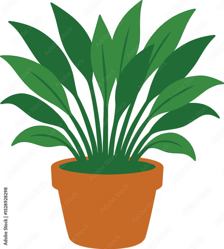 A potted plant with many long, slender leaves in a terracotta pot A potted plant with many long, slender leaves in a terracotta pot