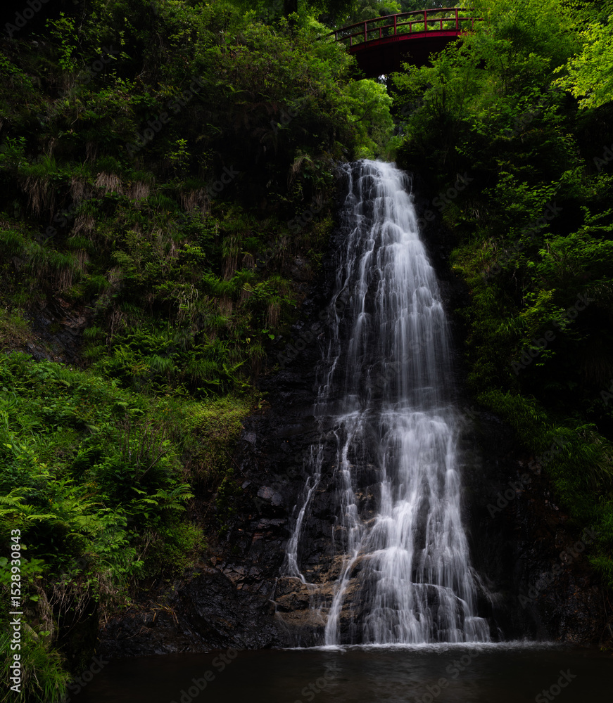 Fototapeta premium 豪快な滝 五宝の滝 岐阜県 
