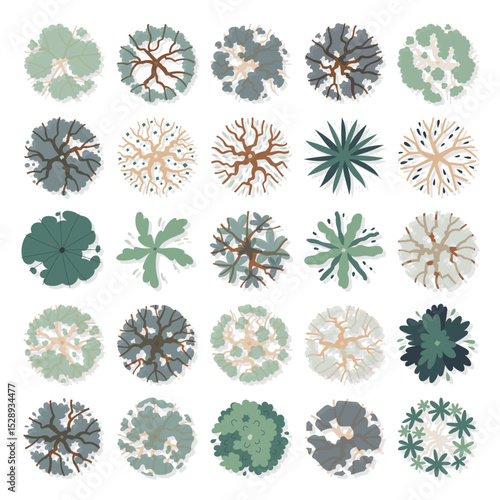 hand drawn cute cartoon vector illustration top view of tree isolated on white background.