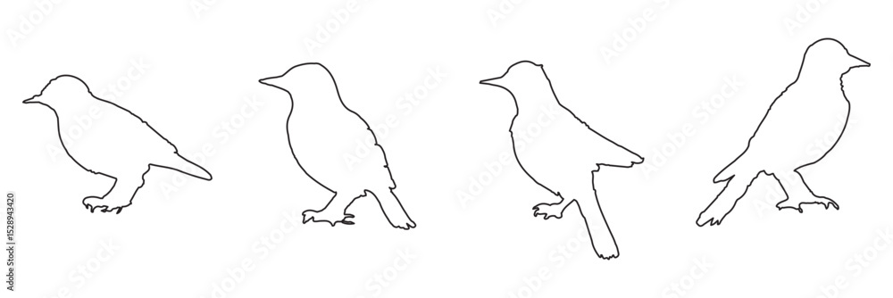 bird silhouettes, black and white, vector graphics, various poses, perched birds, flying birds, detailed bird shapes, minimalist design, ornithology illustration, nature clipart, bird watching guide, bird silhouettes, black and white, vector graphics, various poses, perched birds, flying birds, detailed bird shapes, minimalist design, ornithology illustration, nature clipart, bird watching guide,