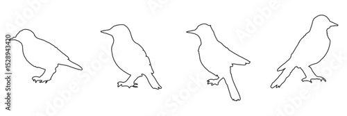 bird silhouettes, black and white, vector graphics, various poses, perched birds, flying birds, detailed bird shapes, minimalist design, ornithology illustration, nature clipart, bird watching guide,