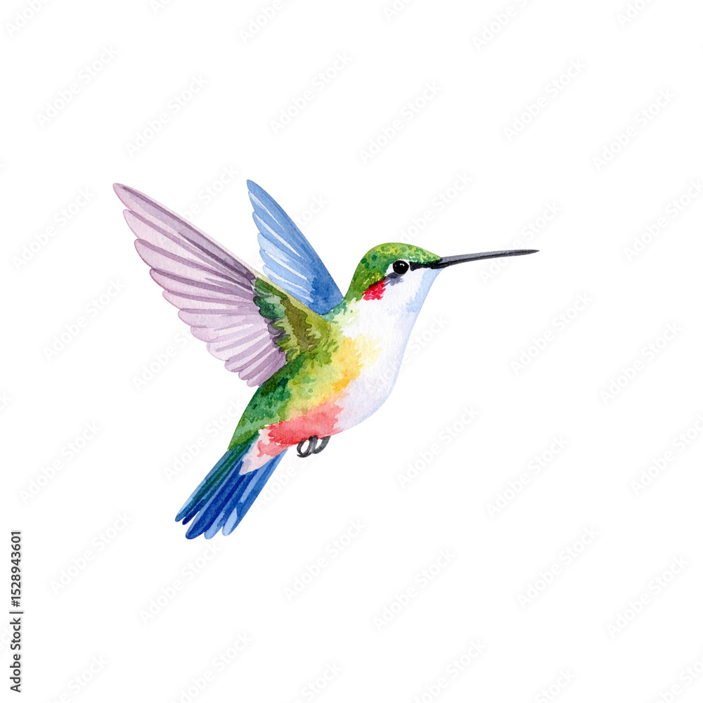 Fototapeta premium Ruby-throated hummingbird in flight, wings spread, approaches a vibrant flower to sip nectar, a small, green avian marvel of nature