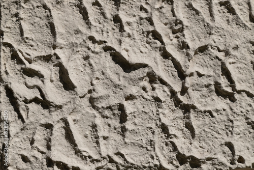 Close-Up of Textured Stone Surface in Natural Light