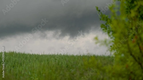 Gewitterwolken über Feldlandschaft – Unwetter zieht auf