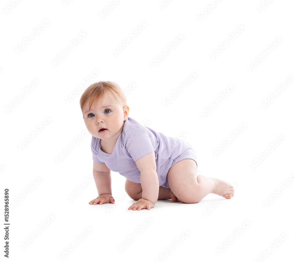 Cute little baby crawling on white background Cute little baby crawling on white background