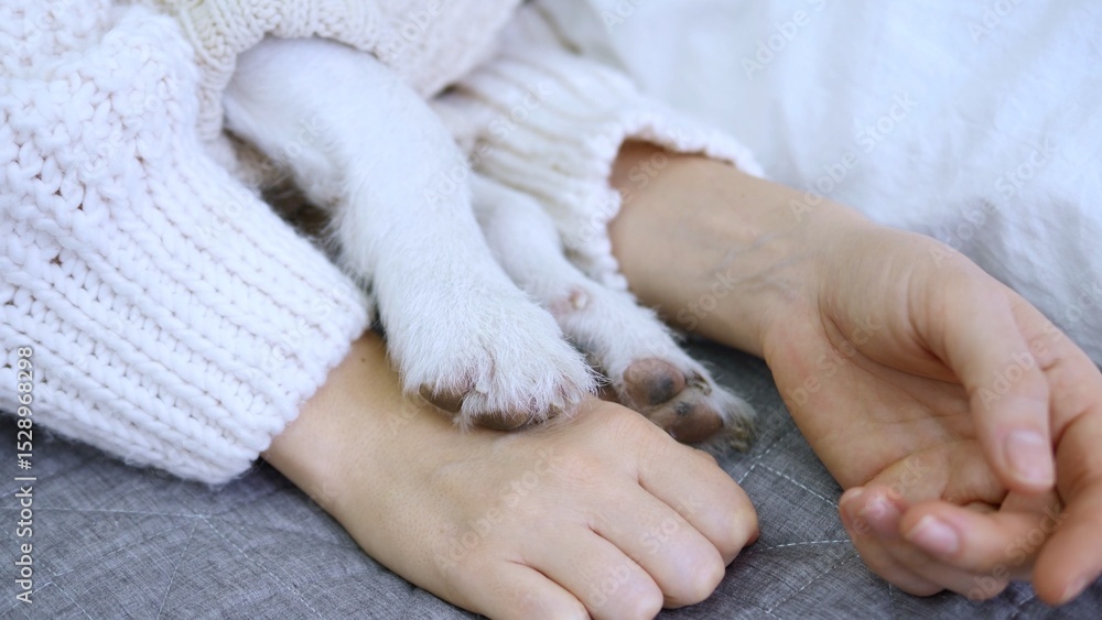 Heartwarming close up captures the delicate paws of a small white puppy gently resting on a woman's hand, showcasing a tender moment of connection and affection between human and animal Heartwarming close up captures the delicate paws of a small white puppy gently resting on a woman's hand, showcasing a tender moment of connection and affection between human and animal