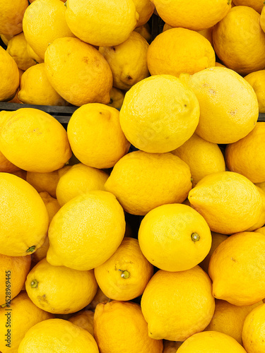 lots of ripe lemon fruit for food as background
