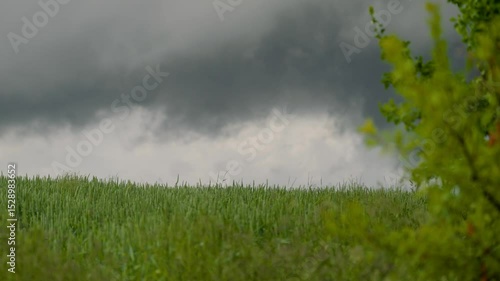 Gewitterwolken über Feldlandschaft – Unwetter zieht auf