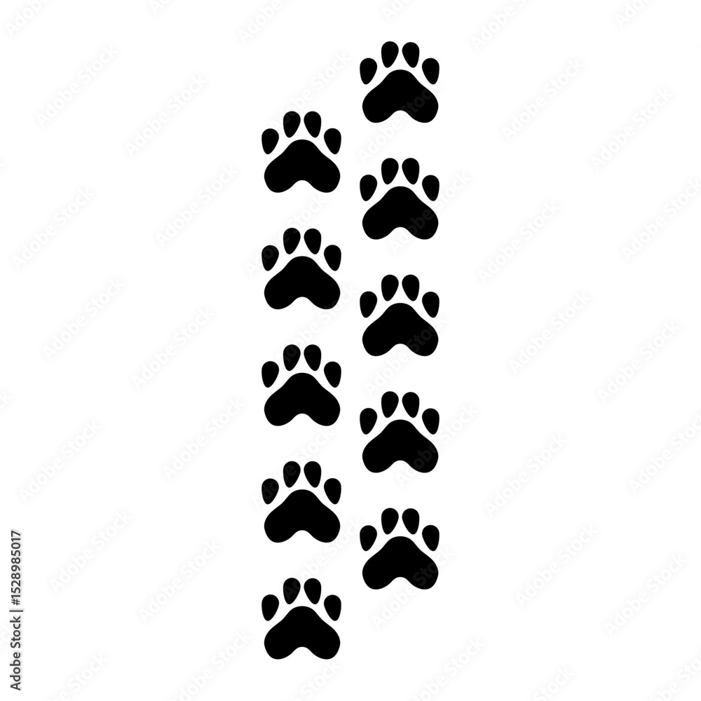 Fototapeta premium Cat Paw Trail