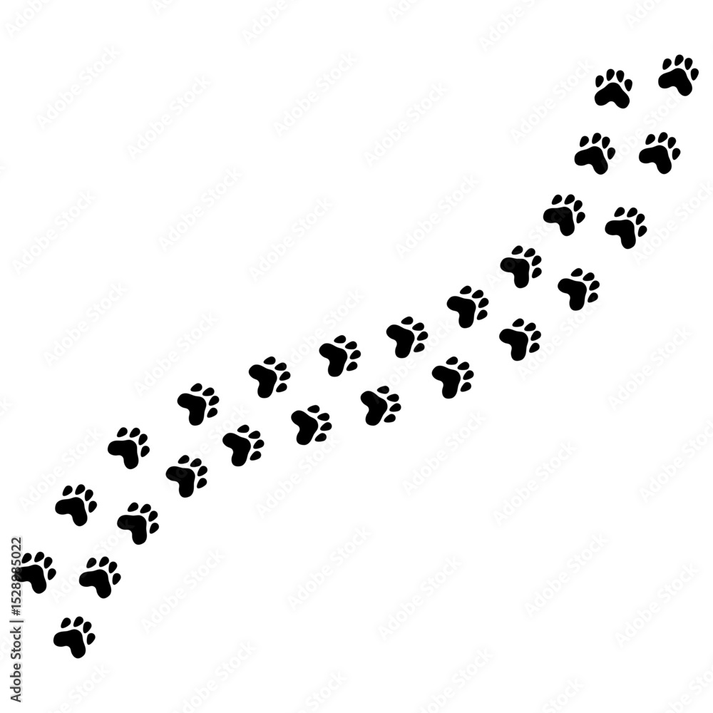 Cat Paw Trail Cat Paw Trail