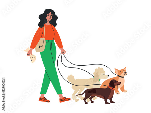 Woman walking dogs of different breeds on leashes. Dog walk vector web banner, poster.