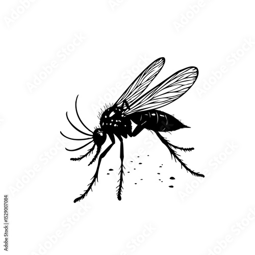 Detailed black and white vector illustration of a mosquito on a white background