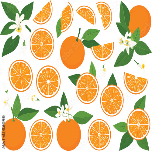 A vibrant citrus arrangement of oranges slices and blossoms on transparent background