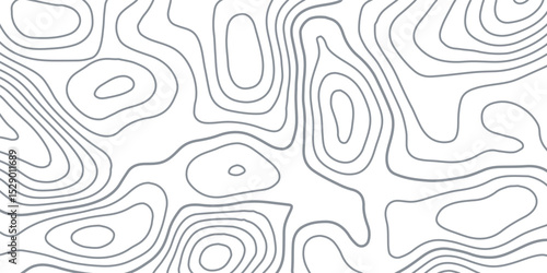White wave paper curved reliefs abstract background, Abstract topographic contours map background, Topography map background. Vector geographic contour map.