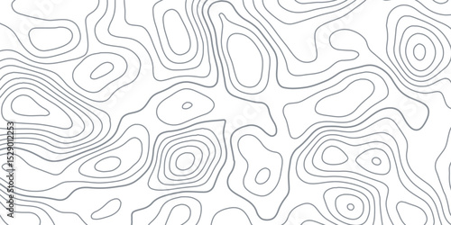 White wave paper curved reliefs abstract background, Abstract topographic contours map background, Topography map background. Vector geographic contour map.