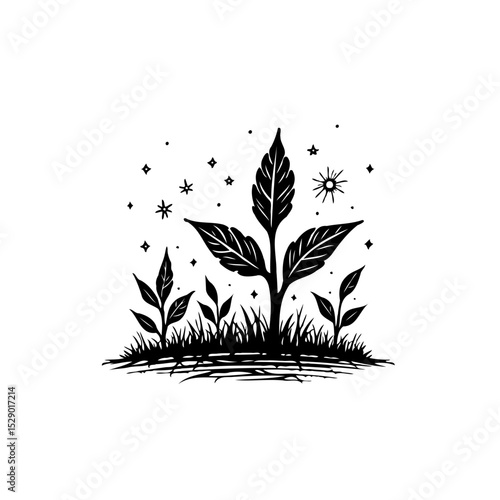Minimalist Illustration of Plants, Grass, and Stars in Black and White Style