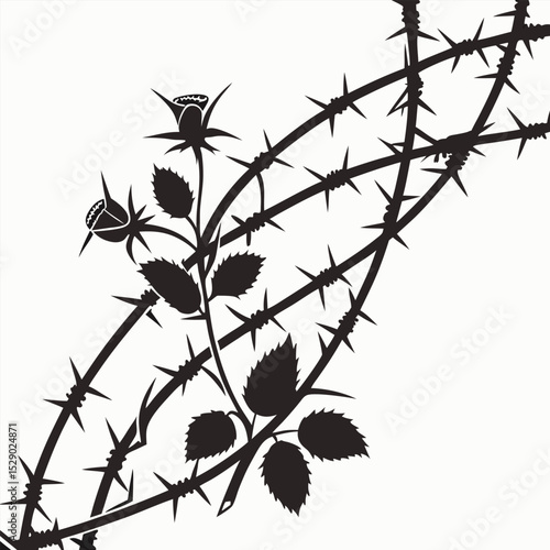 black silhouette of brambles